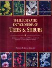 The Illustrated Encyclopedia of Trees & Shrubs by Allen J. Coombes