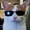 norabark's profile picture