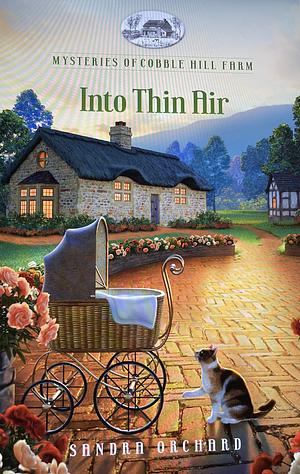 Into Thin Air by Sandra Orchard