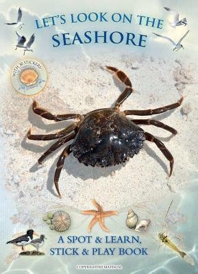 Let's Look on the Seashore: A Spot & Learn, Stick & Play Book by Caz Buckingham, Andrea Charlotte Pinnington