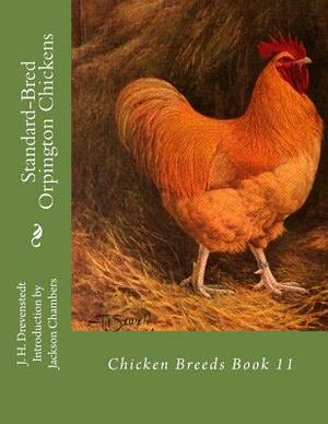 Standard-Bred Orpington Chickens: Chicken Breeds Book 11 by J. H. Drevenstedt