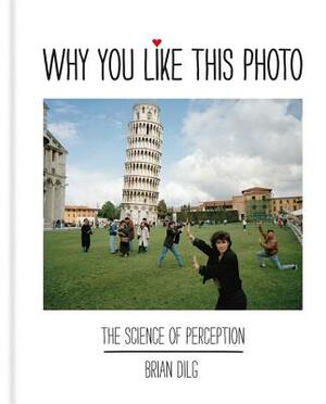 Why You Like This Photo: The Science of Perception, and How We Understand Photographs by Brian Dilg