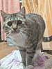 counterfactual's profile picture