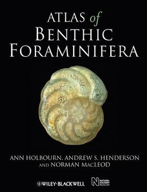 Atlas of Benthic Foraminifera by Andrew S. Henderson, Norman MacLeod, Ann Holbourn