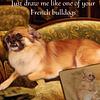 betweenianseyes's profile picture