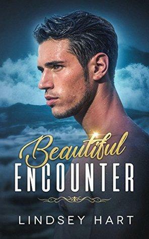 Beautiful Encounter by Lindsey Hart