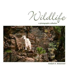 Wildlife: a photographic collection by Kimberli a. Bindschatel