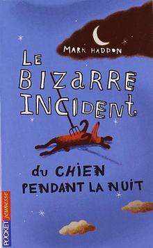 Le bizarre incident du chien pendant la nuit by Mark Haddon, Odile Demange