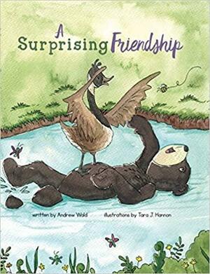 A Surprising Friendship by Andrew Wald