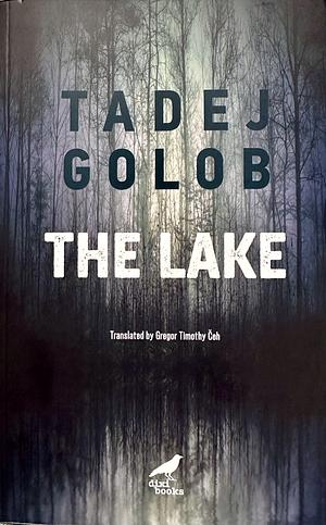 The Lake by Tadej Golob