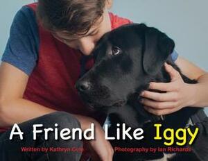 A Friend Like Iggy by Boost Child Advocacy Centr, Ian Richards, Kathryn Cole