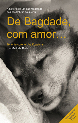 De Bagdade, com Amor: A Marinha, a Guerra, e um cão chamado Lava by Melinda Roth, Jay Kopelman