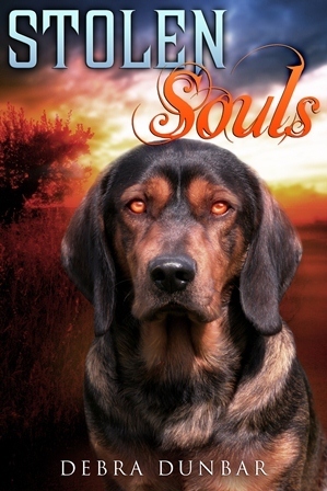 Stolen Souls by Debra Dunbar