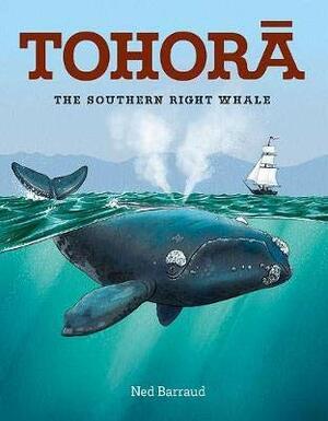 Tohora: The Southern Right Whale by Ned Barraud