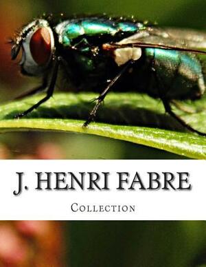 J. Henri Fabre, Collection by J. Henri Fabre
