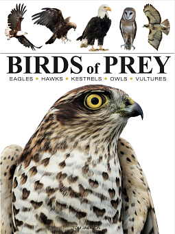 Birds of Prey: Stunning Photographs of the World's Great Hunting Birds by Tom Jackson