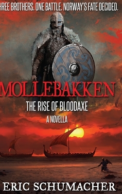 Mollebakken by Eric Schumacher