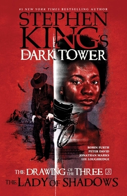 The Drawing of the Three, Volume 3: The Lady of Shadows by Nick Filardi, Piotr Kowalski, Robin Furth, Peter David