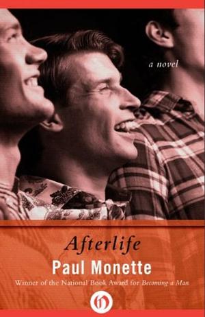 Afterlife by Paul Monette