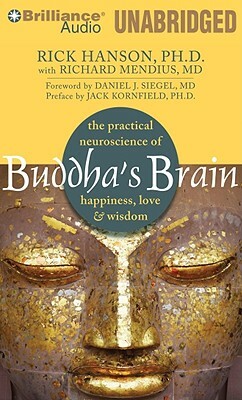 Buddha's Brain: The Practical Neuroscience of Happiness, Love & Wisdom by Rick Hanson