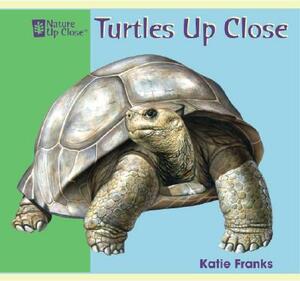 Turtles Up Close by Katie Franks