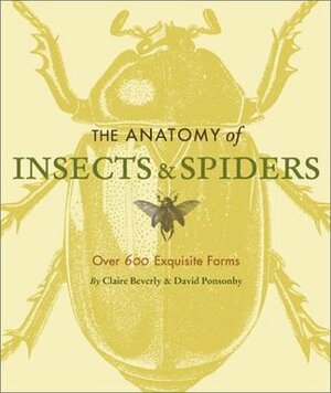 The Anatomy of Insects and Spiders: Over 600 Exquisite Forms by Claire Beverley, David Ponsonby