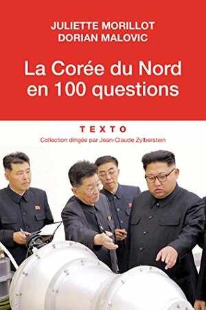 La Corée du Nord en 100 questions by Juliette Morillot, Dorian Malovic