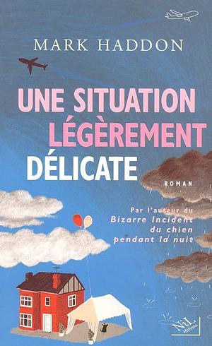 Une Situation Légèrement Délicate: Roman by Mark Haddon, Odile Demange