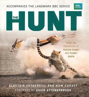 The Hunt: The Outcome Is Never Certain by Huw Cordey, Alastair Fothergill