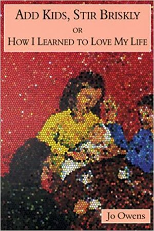 Add Kids, Stir Briskly: Or How I Learned to Love my Life by Jo Owens