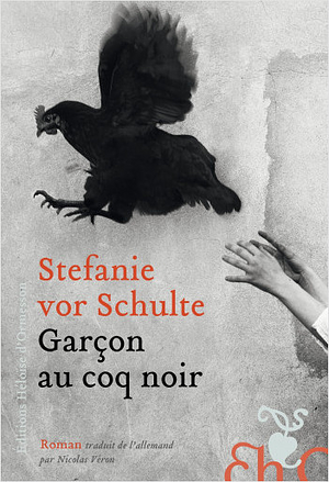 Garçon au coq noir by Stefanie vor Schulte