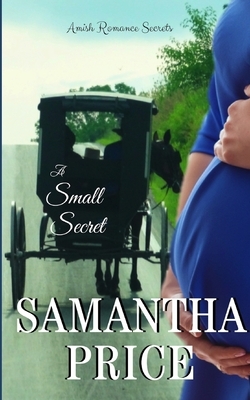 A Small Secret by Samantha Price