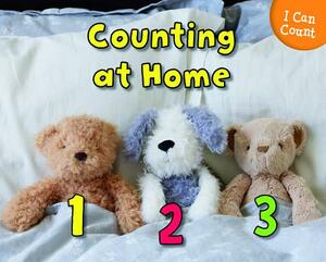 Counting at Home by Rebecca Rissman