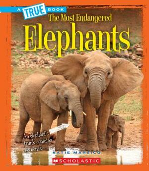 Elephants (a True Book: The Most Endangered) by Katie Marsico