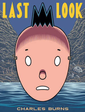 Last Look by Charles Burns