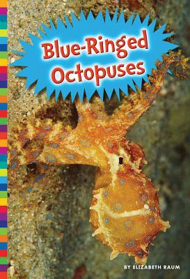 Blue-Ringed Octopuses by Elizabeth Raum