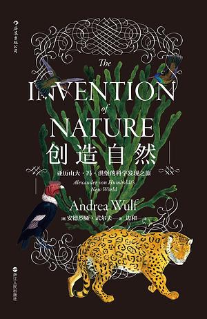 创造自然: 亚历山大·冯·洪堡的科学发现之旅 by Andrea Wulf