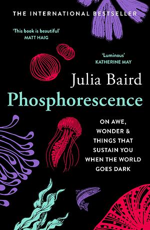 Phosphorescence: On Awe, Wonder &amp; Things That Sustain You When the World Goes Dark by Julia Baird