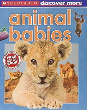 Animal Babies by Andrea Pinnington