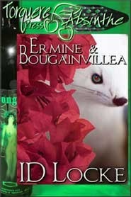 Ermine & Bougainvillea by I.D. Locke