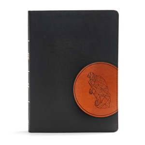 CSB Apologetics Study Bible for Students, Black/Tan Leathertouch by Sean McDowell, Csb Bibles by Holman
