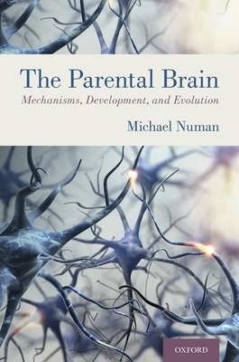 The Parental Brain: Mechanisms, Development, and Evolution by Michael Numan