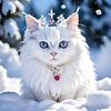 blueflovver's profile picture