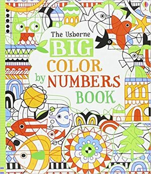Big Color by Numbers Book by Fiona Watt