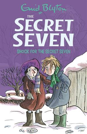 Shock for the Secret Seven by Enid Blyton