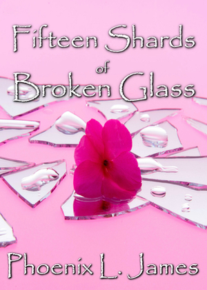 Fifteen Shards of Broken Glass by Phoenix L. James