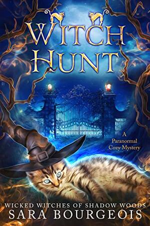 Witch Hunt by Sara Bourgeois