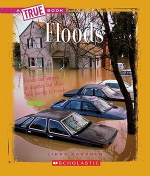 Floods by Libby Koponen