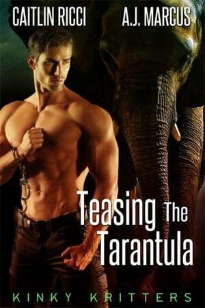 Teasing The Tarantula by A.J. Marcus, Caitlin Ricci