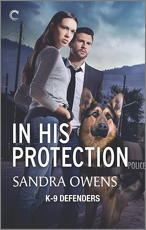 In His Protection by Sandra Owens